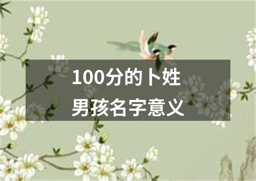 100分的卜姓男孩名字意义