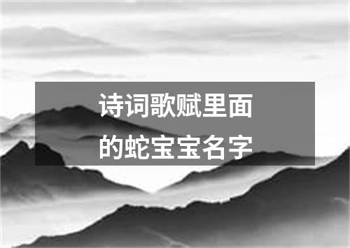 诗词歌赋里面的蛇宝宝名字