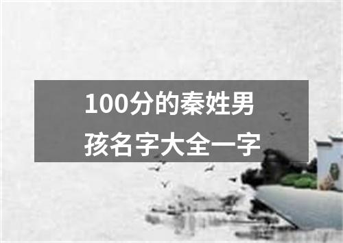 100分的秦姓男孩名字大全一字