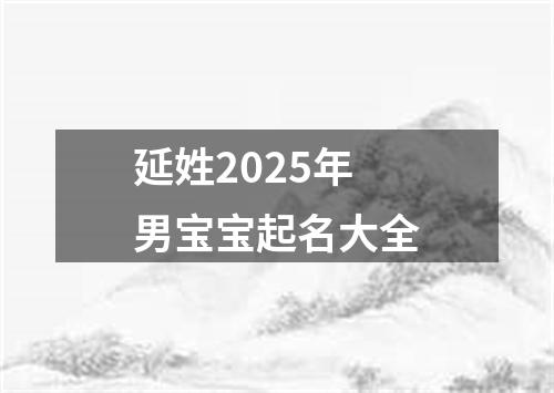 延姓2025年男宝宝起名大全