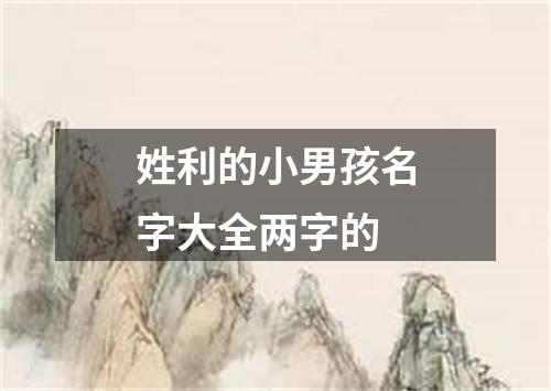 姓利的小男孩名字大全两字的