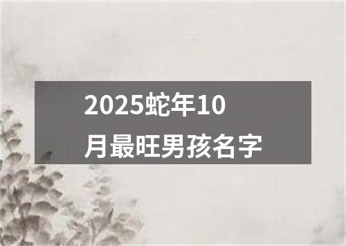 2025蛇年10月最旺男孩名字