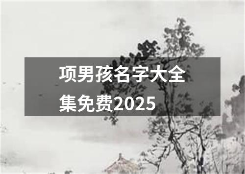 项男孩名字大全集免费2025