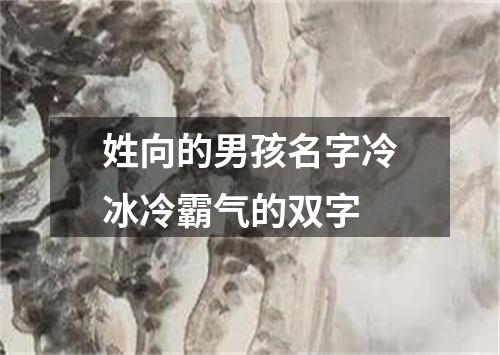 姓向的男孩名字冷冰冷霸气的双字