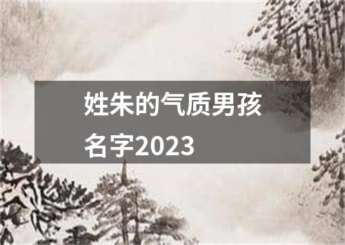 姓朱的气质男孩名字2023