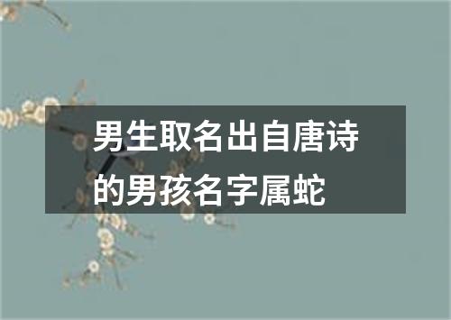 男生取名出自唐诗的男孩名字属蛇