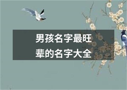 男孩名字最旺辈的名字大全