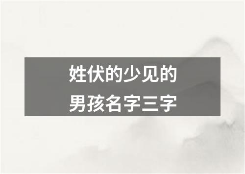 姓伏的少见的男孩名字三字