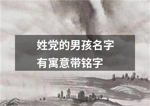 姓党的男孩名字有寓意带铭字