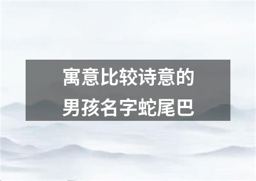 寓意比较诗意的男孩名字蛇尾巴