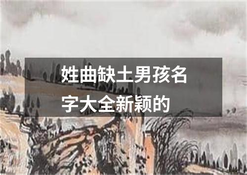 姓曲缺土男孩名字大全新颖的