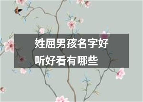 姓屈男孩名字好听好看有哪些