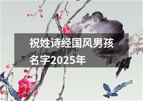 祝姓诗经国风男孩名字2025年