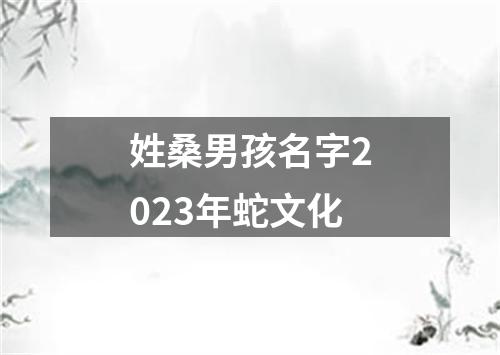 姓桑男孩名字2023年蛇文化