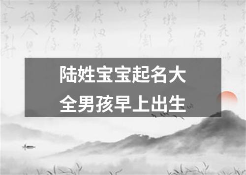 陆姓宝宝起名大全男孩早上出生