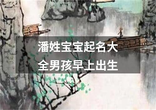 潘姓宝宝起名大全男孩早上出生