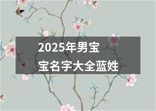 2025年男宝宝名字大全蓝姓