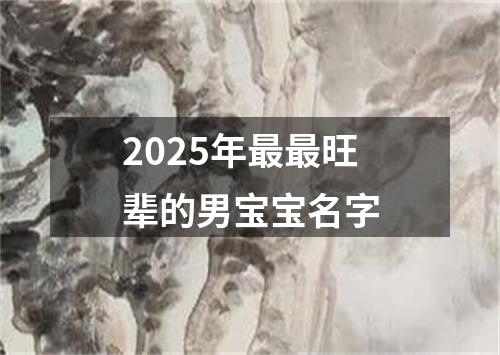 2025年最最旺辈的男宝宝名字