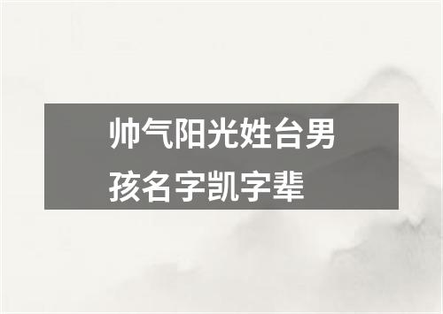 帅气阳光姓台男孩名字凯字辈