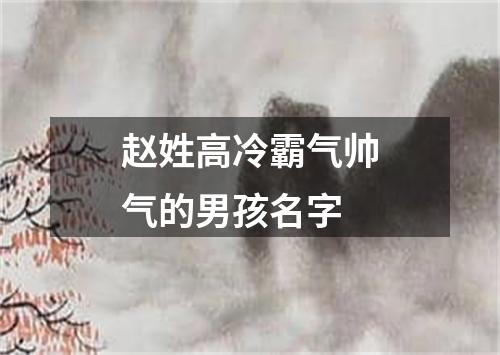 赵姓高冷霸气帅气的男孩名字