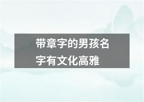 带章字的男孩名字有文化高雅