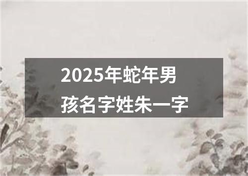 2025年蛇年男孩名字姓朱一字