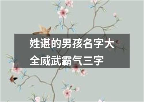 姓谌的男孩名字大全威武霸气三字