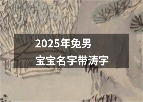 2025年兔男宝宝名字带涛字