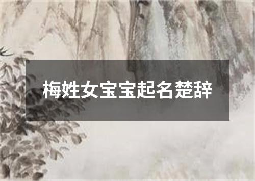 梅姓女宝宝起名楚辞