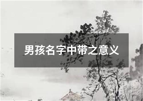男孩名字中带之意义