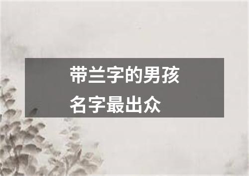 带兰字的男孩名字最出众