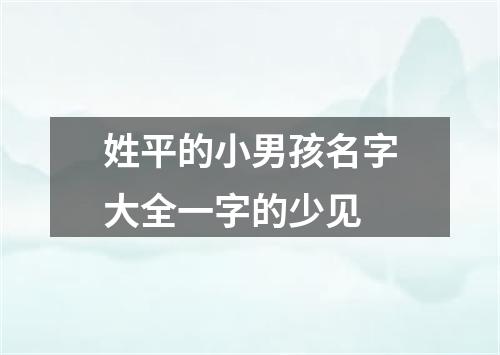 姓平的小男孩名字大全一字的少见