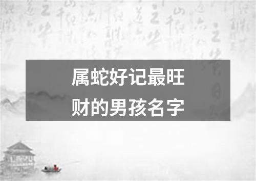 属蛇好记最旺财的男孩名字