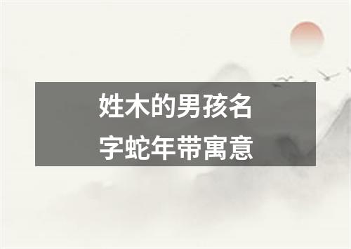 姓木的男孩名字蛇年带寓意