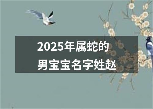 2025年属蛇的男宝宝名字姓赵