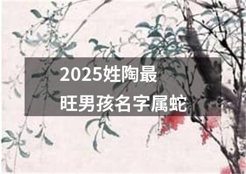2025姓陶最旺男孩名字属蛇