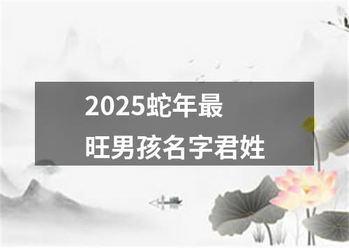 2025蛇年最旺男孩名字君姓