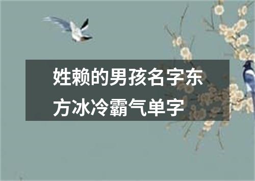 姓赖的男孩名字东方冰冷霸气单字