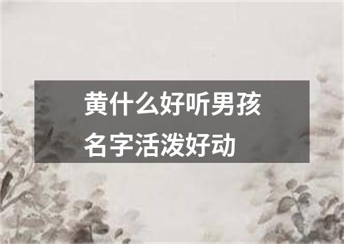 黄什么好听男孩名字活泼好动