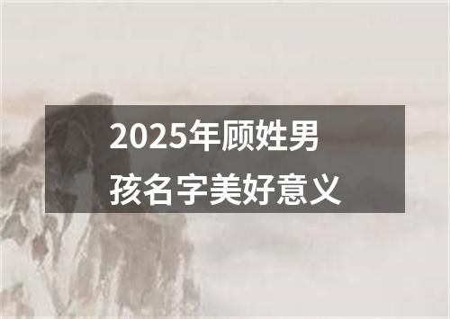 2025年顾姓男孩名字美好意义