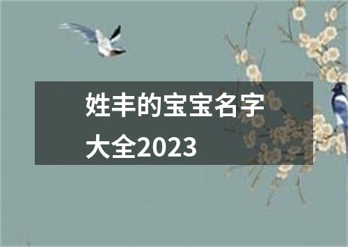 姓丰的宝宝名字大全2023
