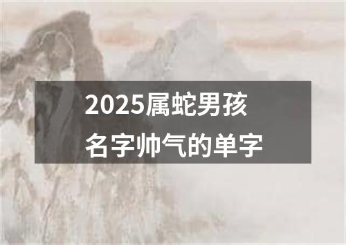 2025属蛇男孩名字帅气的单字