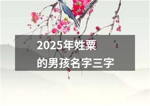 2025年姓粟的男孩名字三字