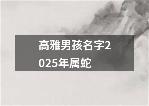 高雅男孩名字2025年属蛇