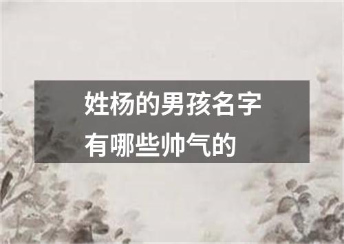 姓杨的男孩名字有哪些帅气的