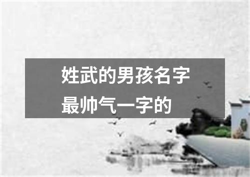 姓武的男孩名字最帅气一字的