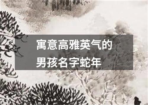 寓意高雅英气的男孩名字蛇年