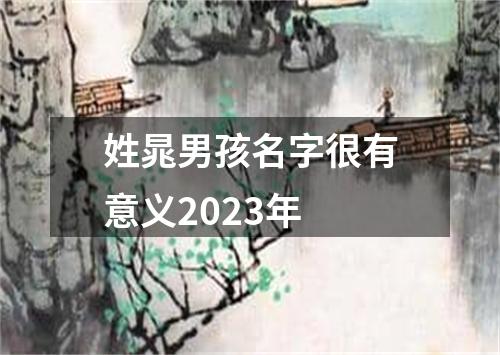 姓晁男孩名字很有意义2023年