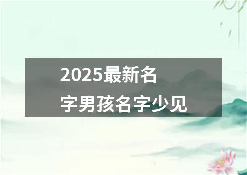 2025最新名字男孩名字少见