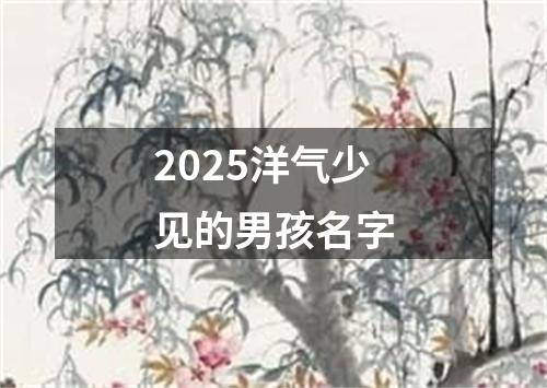 2025洋气少见的男孩名字
